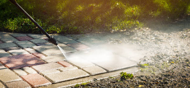 Best Sidewalk and Walkway Cleaning  in La Plata, NM