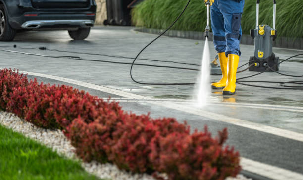 Best Driveway Pressure Washing  in La Plata, NM